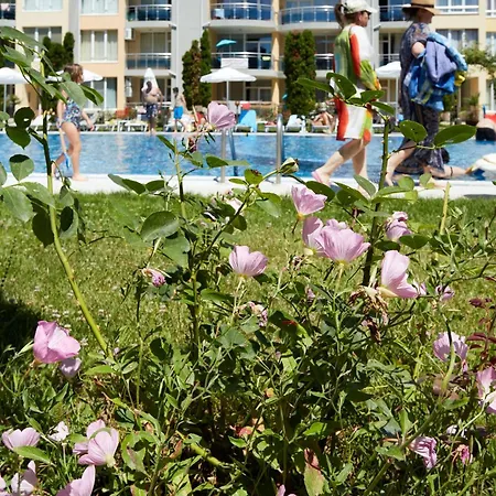 Luxury First Line With Pool By The Sea Apartment *