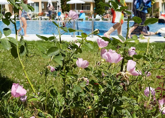 Luxury First Line With Pool By The Sea Apartment *